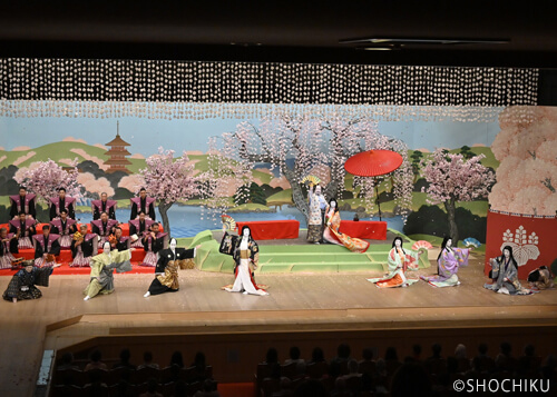 ▲From left, Kataoka Shinnosuke, Nakamura Takanosuke,<br>Nakamura Toranosuke, Nakamura Senjaku, Nakamura Ganjirō,<br>Kataoka Takatarō, Nakamura Kangyoku, Kamimura Kichitarō,<br>Kamimura Kichiya in 'DAIGO NO HANAMI'. 